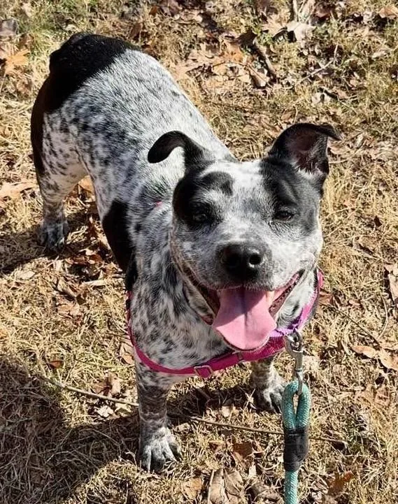 Scribbles thumbnail 5