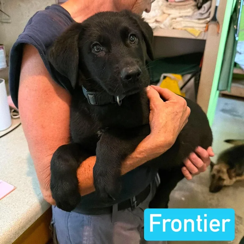 Frontier thumbnail 3