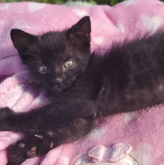 Esmeralda