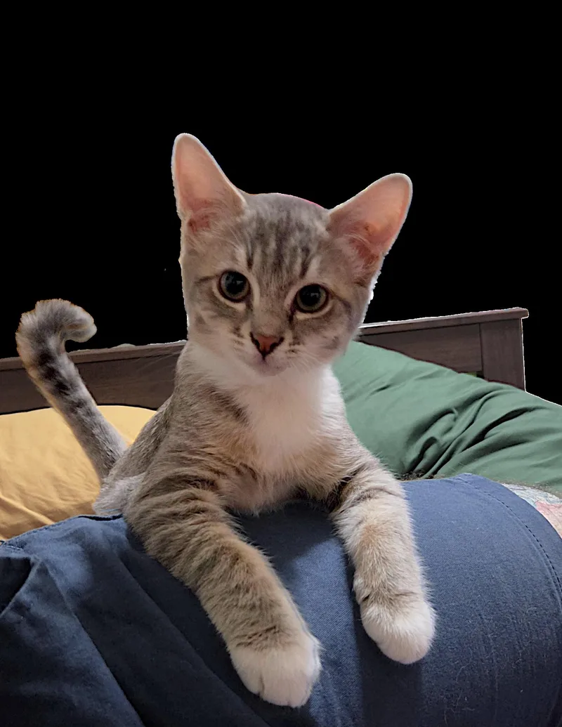 Phil thumbnail 3