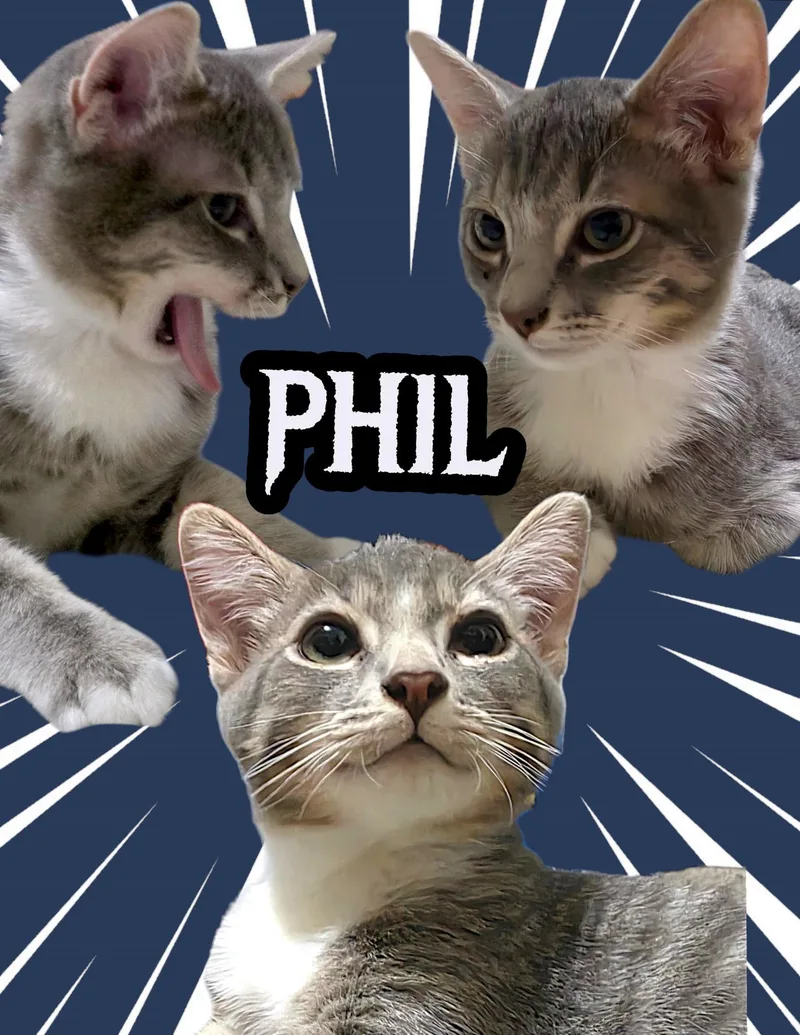 Phil thumbnail 4