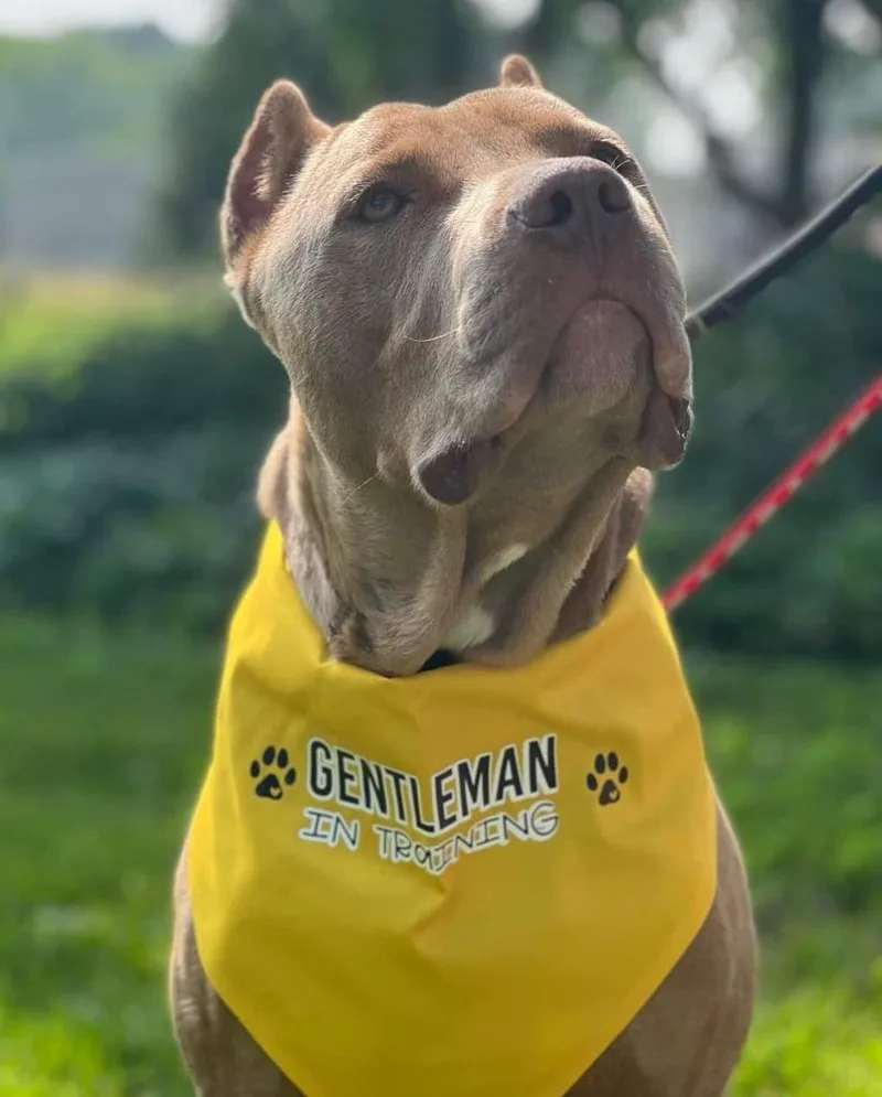 Santiago thumbnail 5