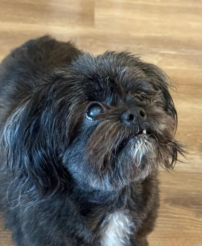 Coco thumbnail 2