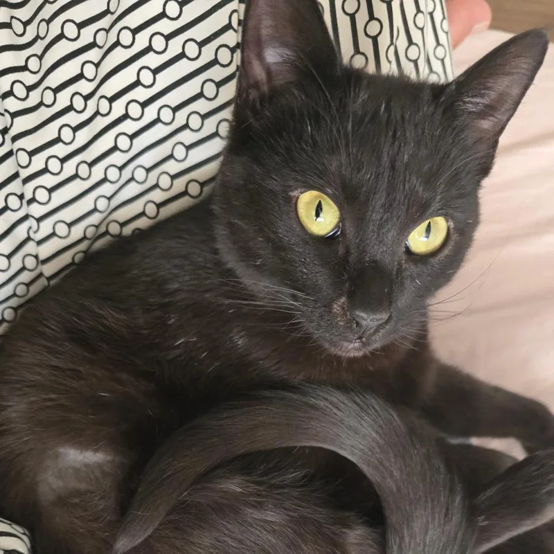 Big Mama G thumbnail 2