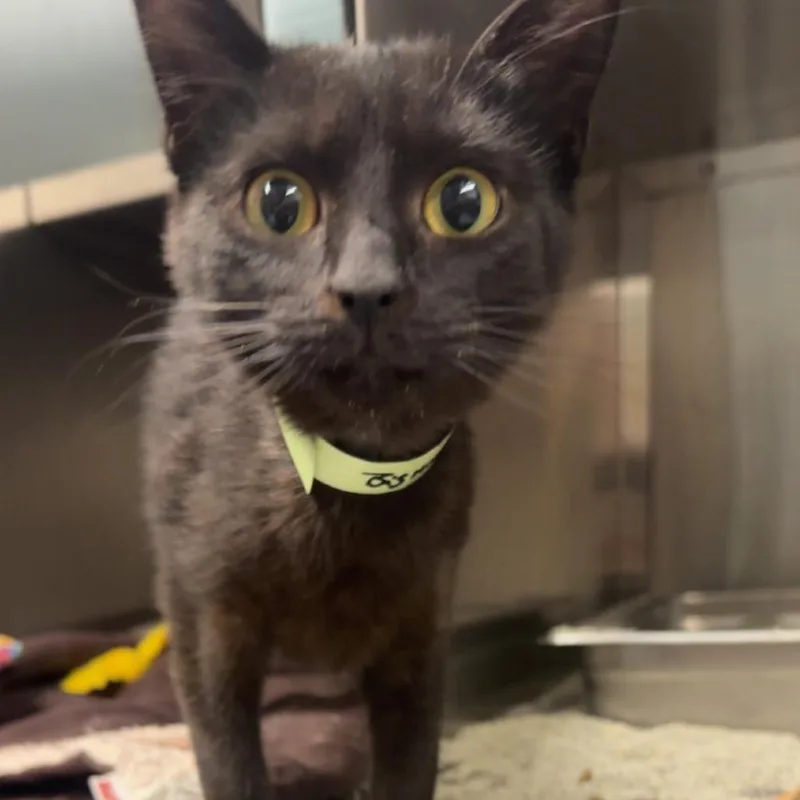 Big Mama G thumbnail 3