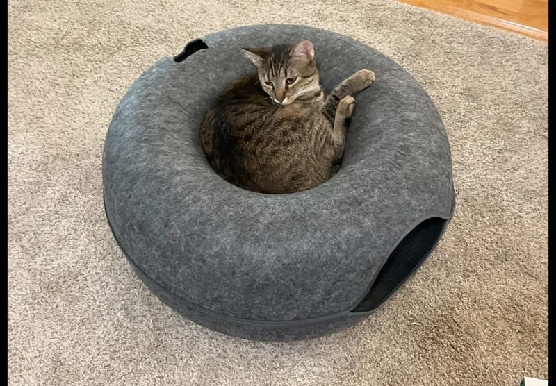 Sage & Swirl thumbnail 6