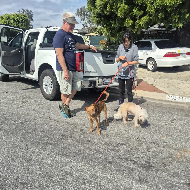 Wiley Riley thumbnail 2