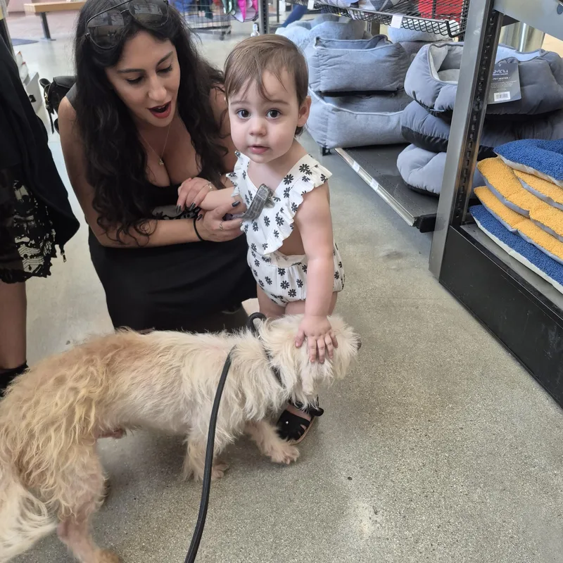 Wiley Riley thumbnail 3