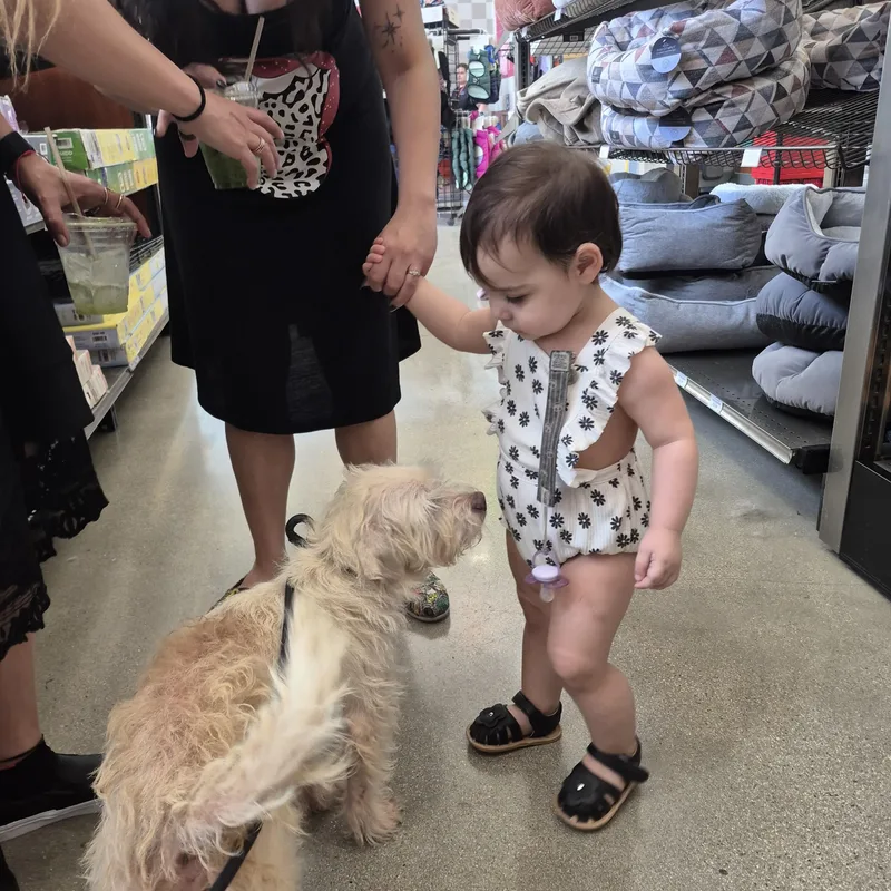 Wiley Riley thumbnail 4