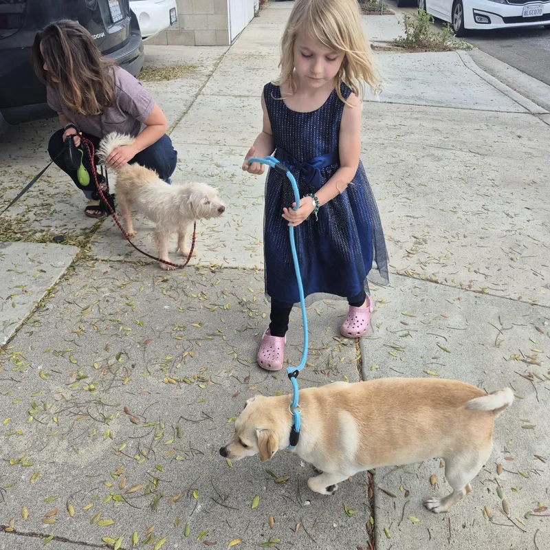 Wiley Riley thumbnail 5