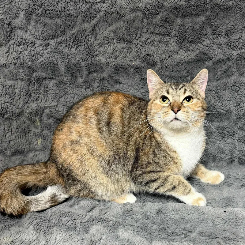 Christina thumbnail 2