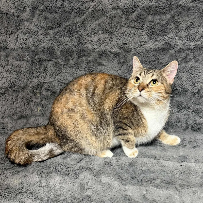 Christina thumbnail 3