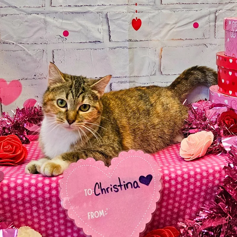 Christina thumbnail 4