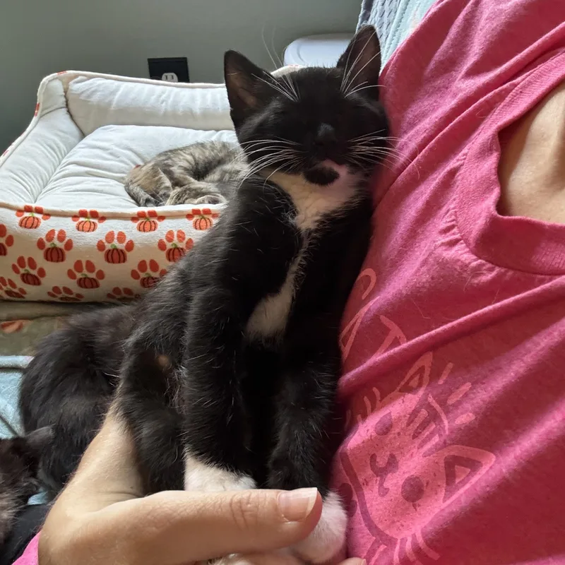 Kitkat  The Sweetest thumbnail 4