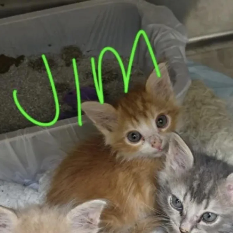 Jim thumbnail 3