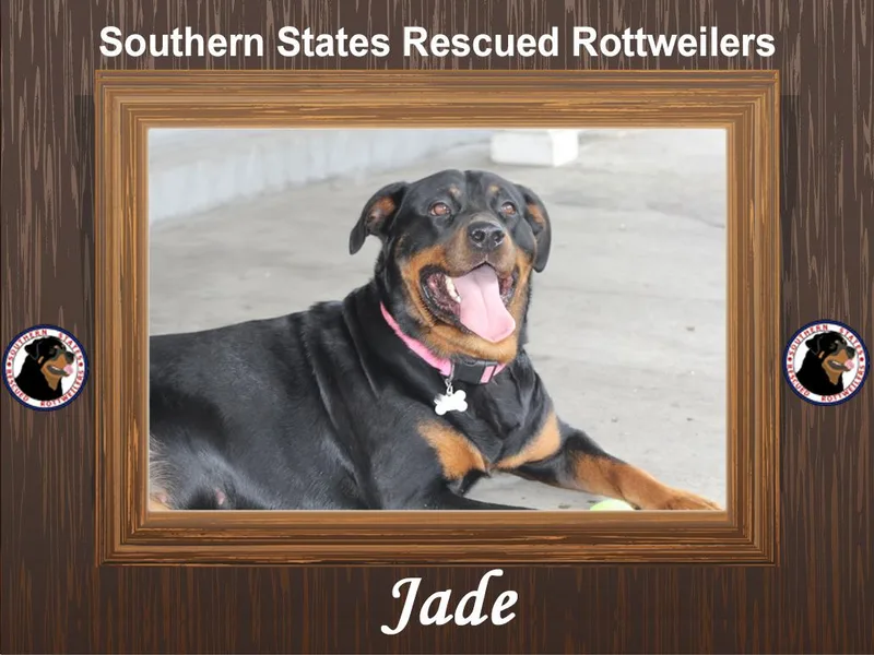 Jade thumbnail 6