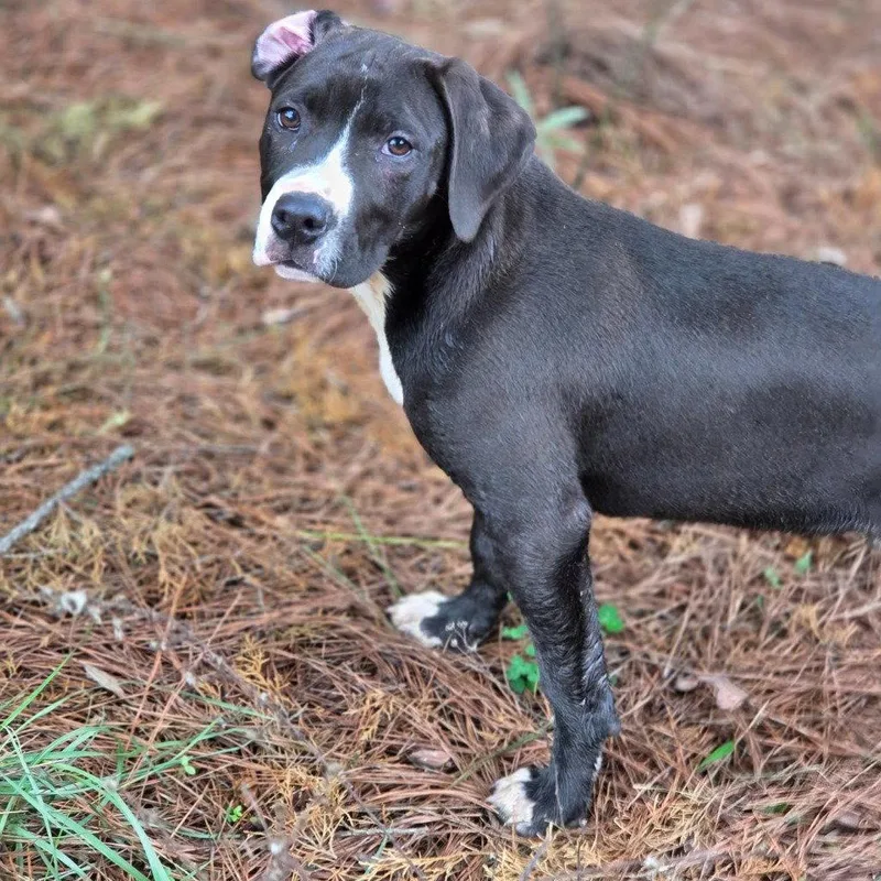 Wiltshire thumbnail 2