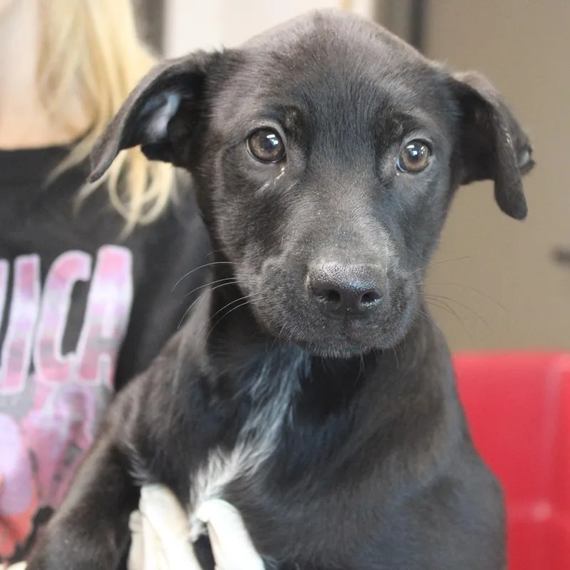 Delta Dairy thumbnail 3