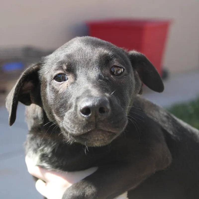 Delta Dairy thumbnail 5