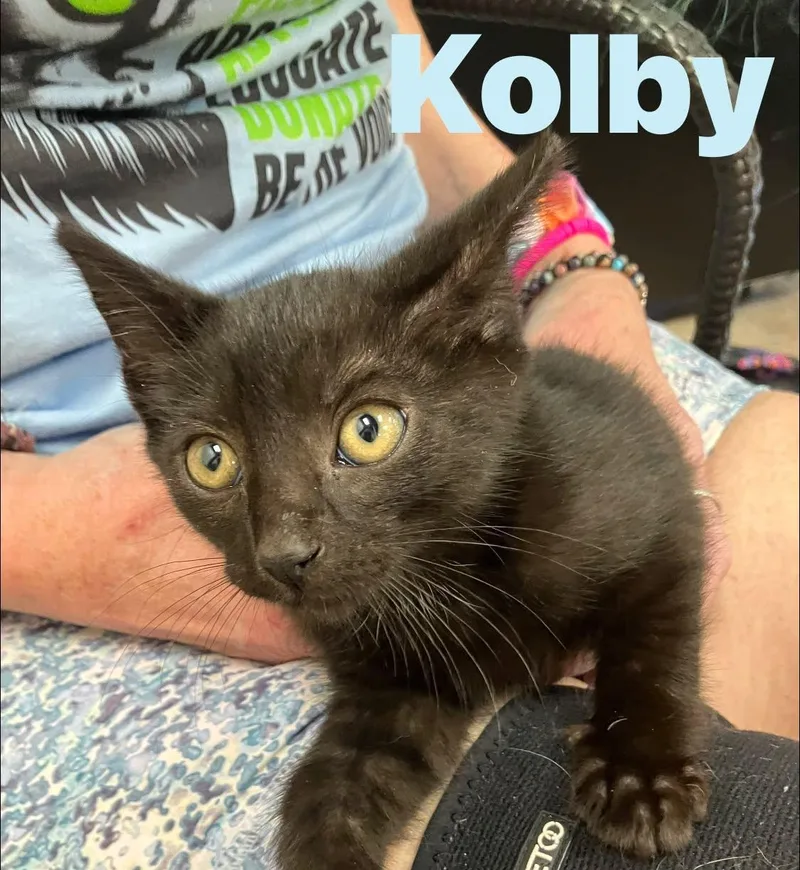 Kolby thumbnail 2