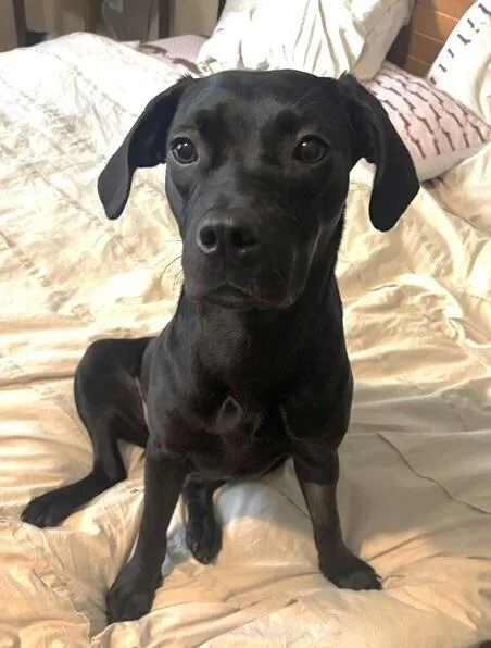 Mochachino thumbnail 2