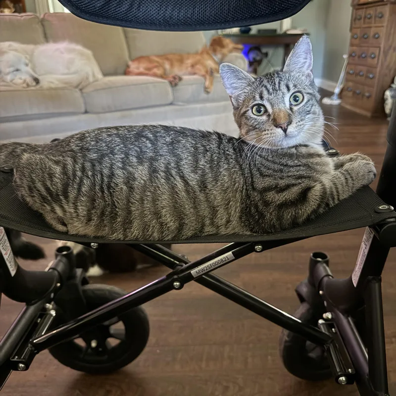 Edgar thumbnail 2