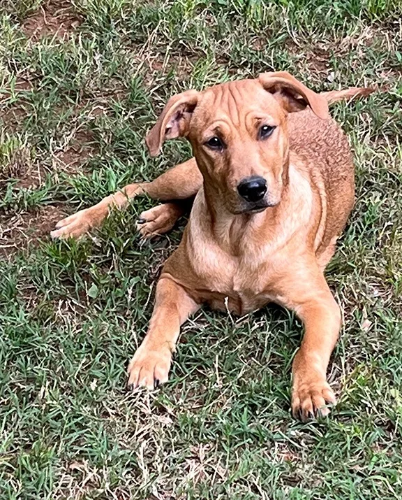 Nicholas thumbnail 4