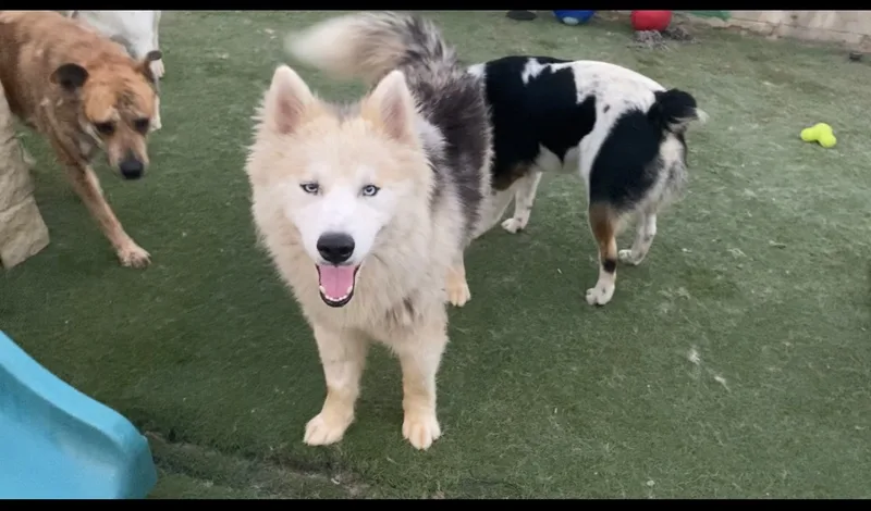 Winchester thumbnail 2