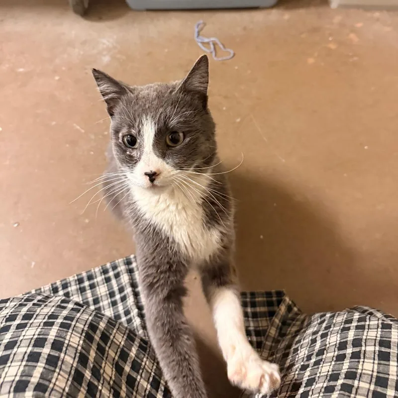 Oswald  Loves People!