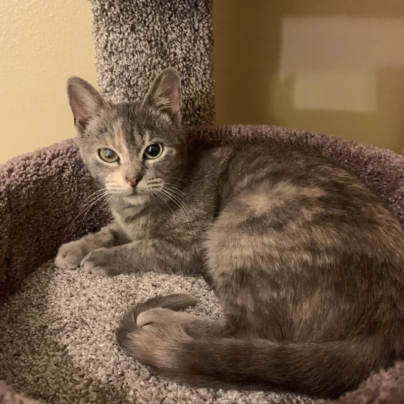 Bunny Baby thumbnail 2