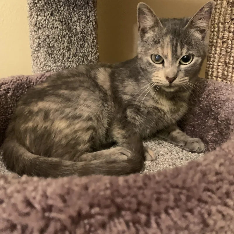 Bunny Baby thumbnail 4