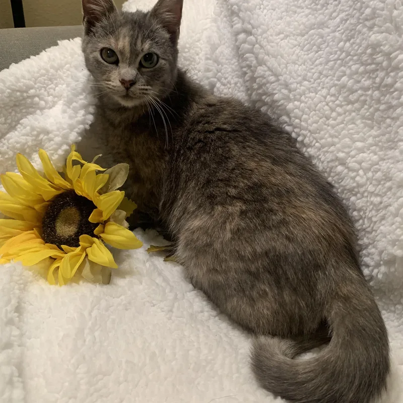 Bunny Baby thumbnail 5