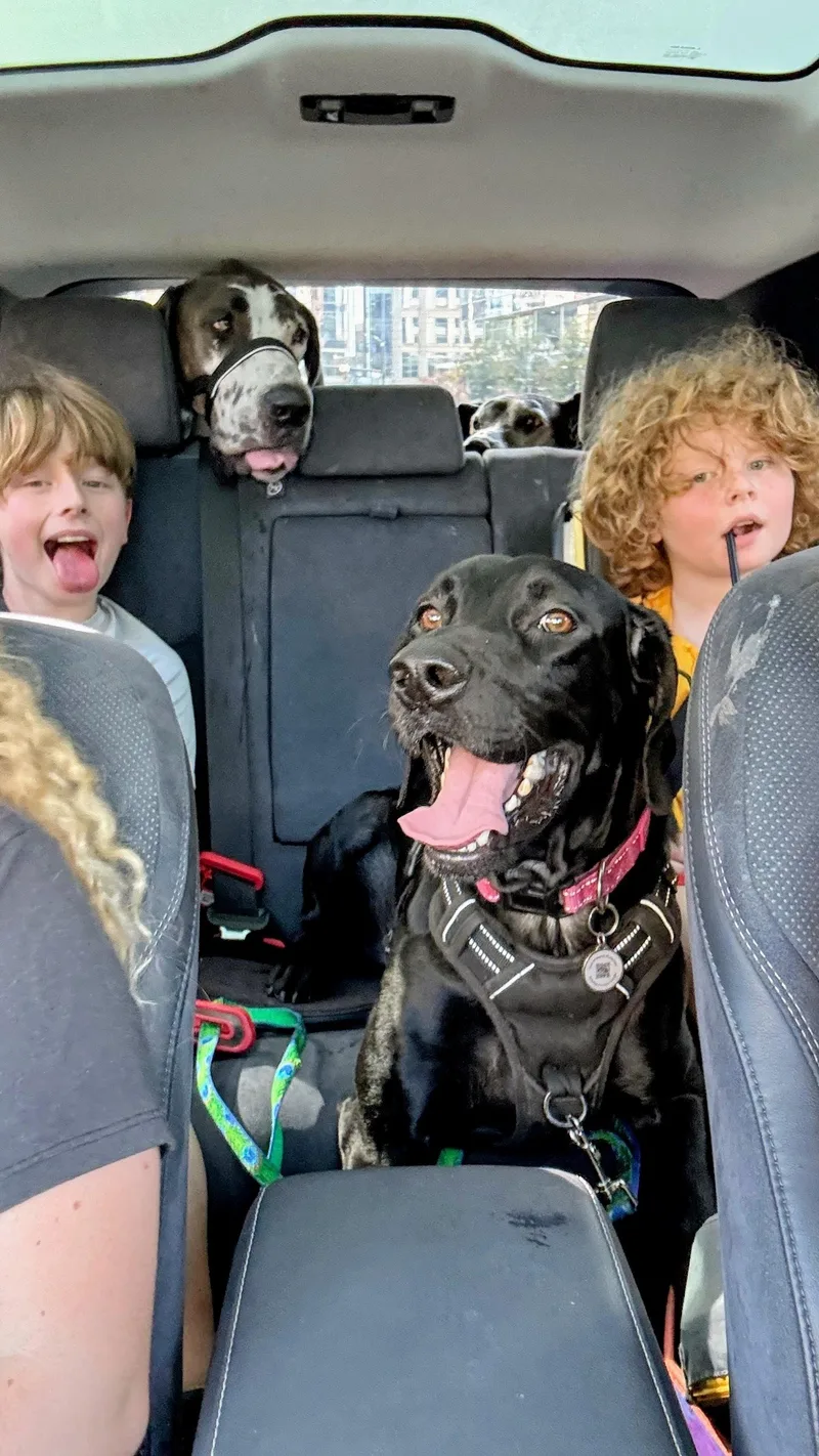 Mr Birdie thumbnail 2