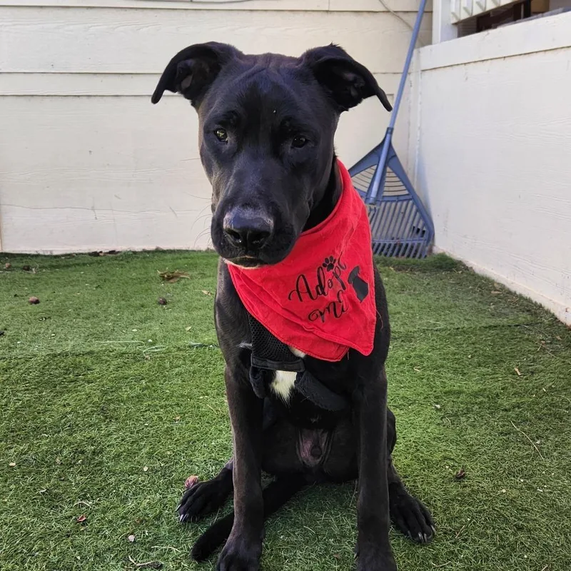 Benjamin Lk thumbnail 2