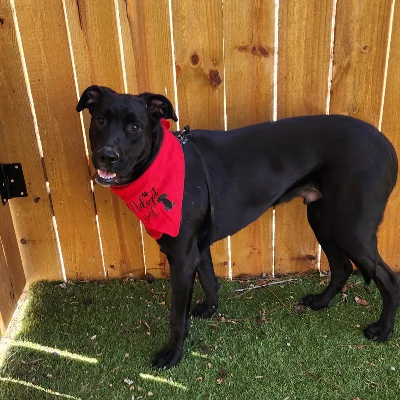 Benjamin Lk thumbnail 4