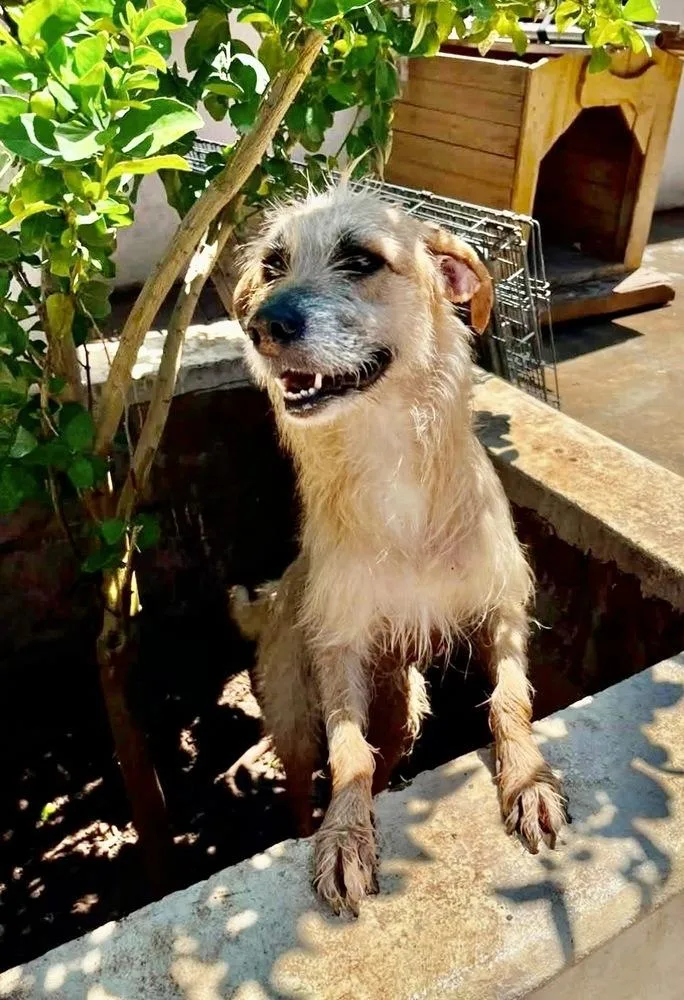 Zoe