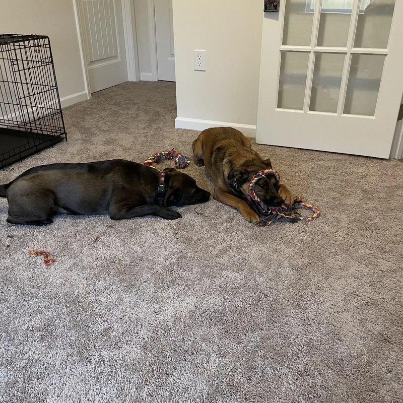 Holly & Polly  thumbnail 2