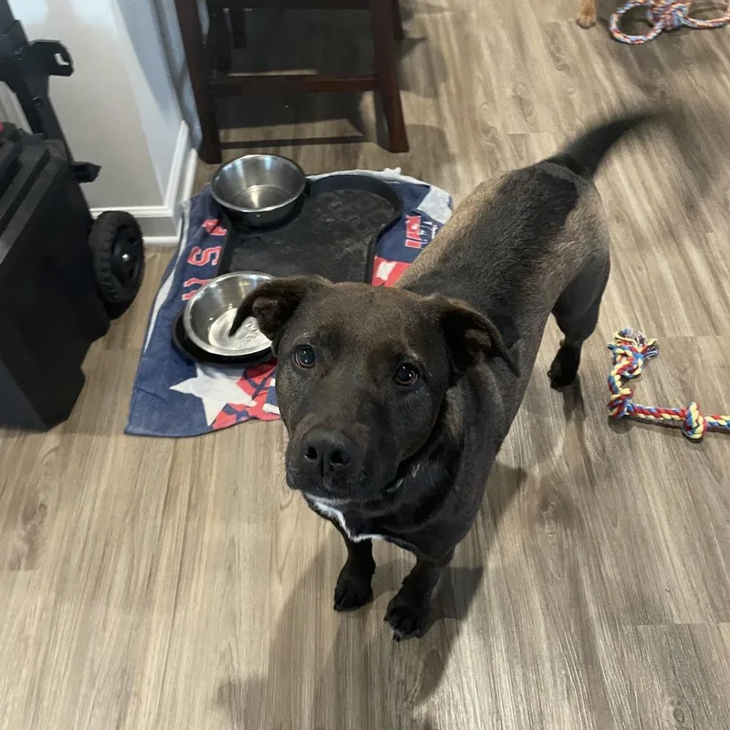 Holly & Polly  thumbnail 3