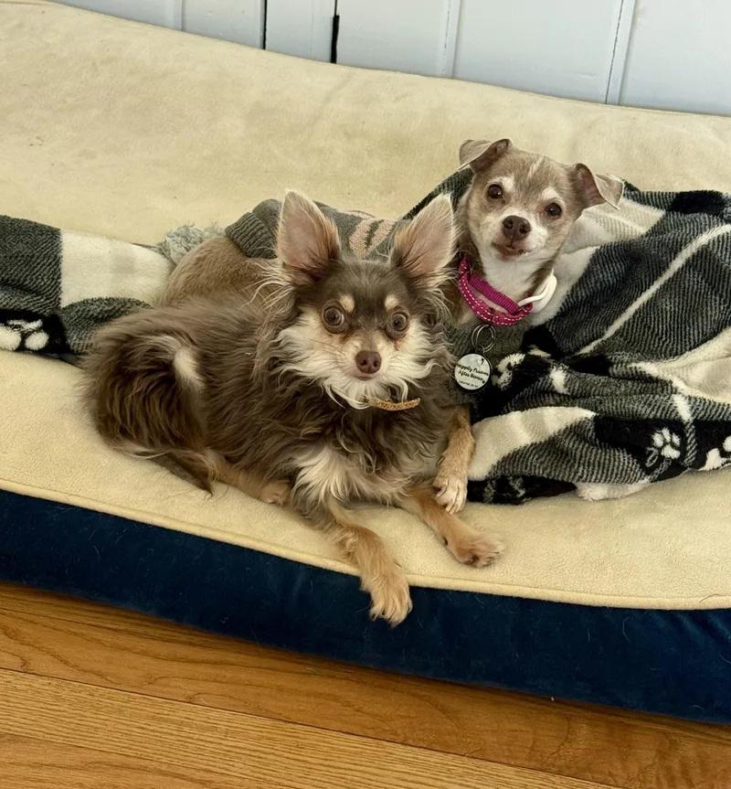 Koji & Korra thumbnail 2