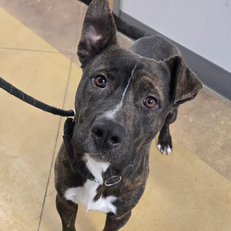 Ernie  T thumbnail 3