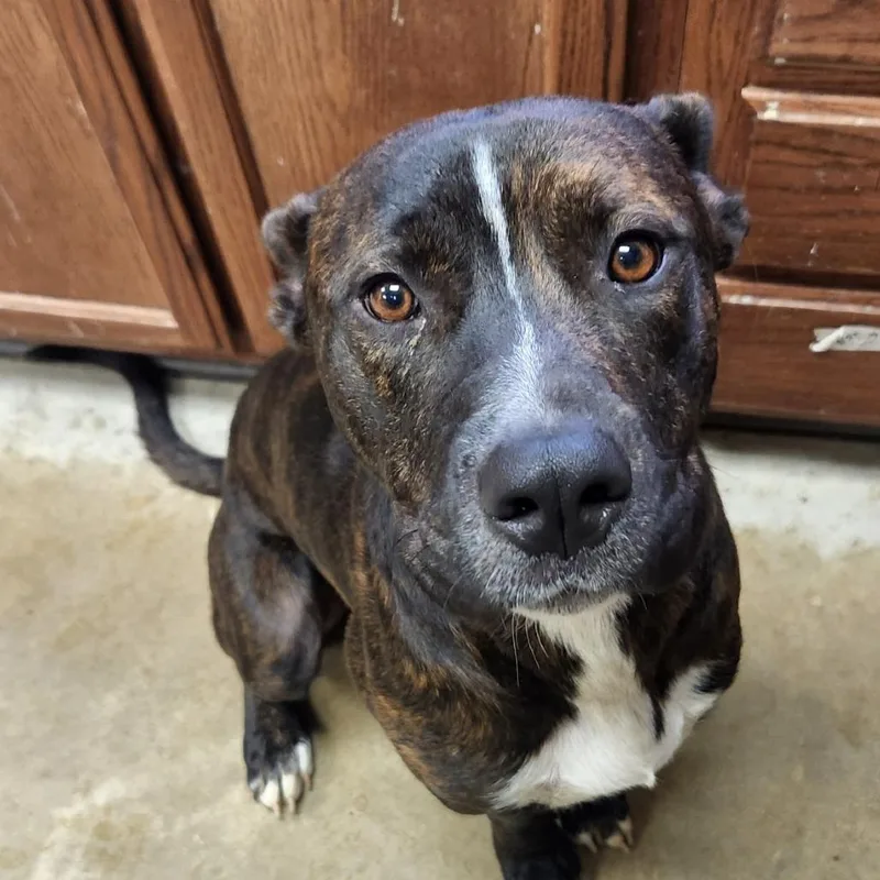 Ernie  T thumbnail 4