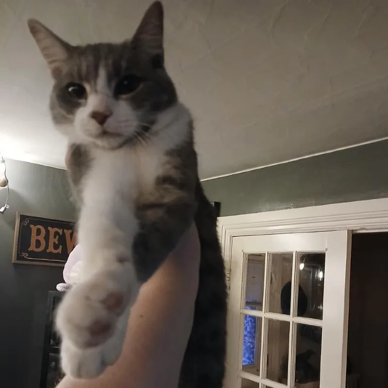 Neville Furbottom thumbnail 2