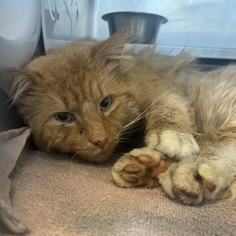 Sundance thumbnail 2