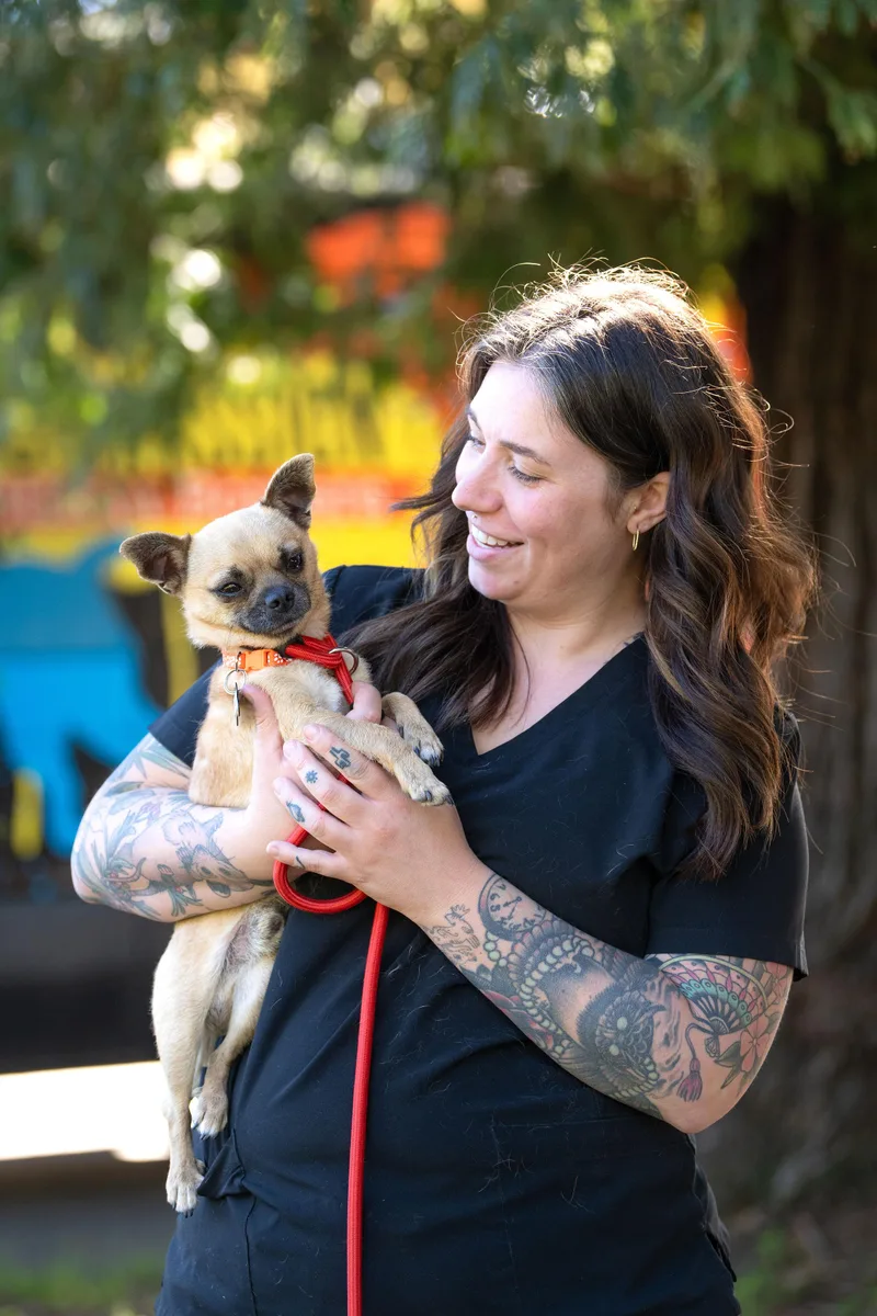 Fernandito thumbnail 4