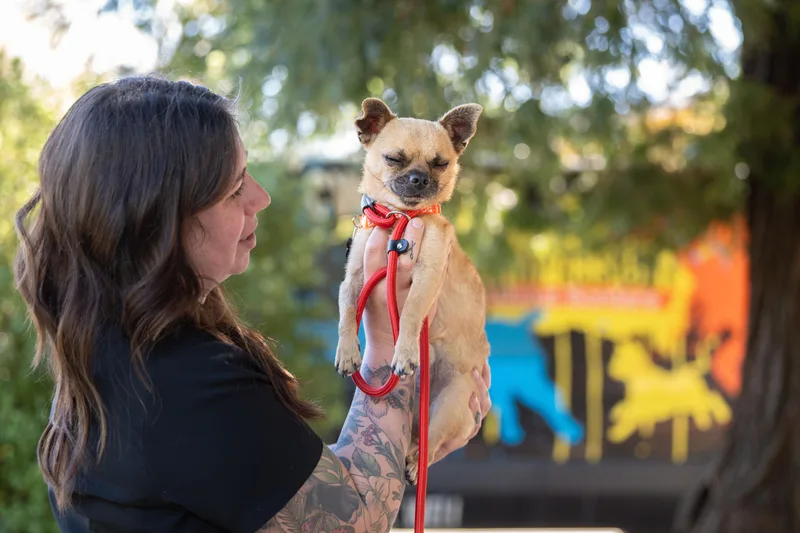 Fernandito thumbnail 5