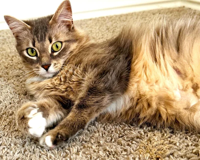 Jasmine thumbnail 2