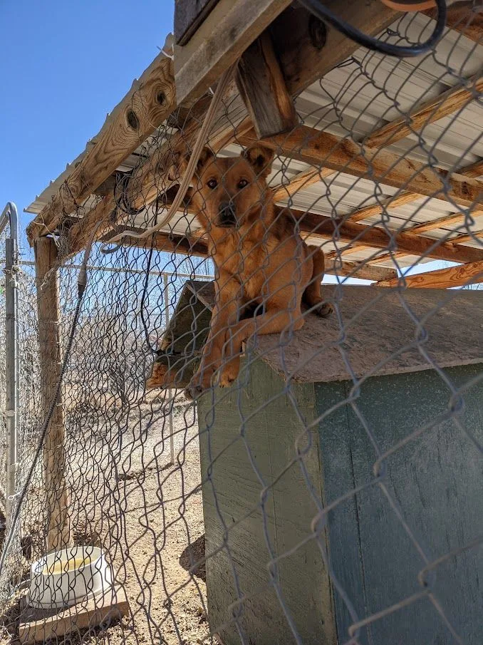 Rhiannon thumbnail 2