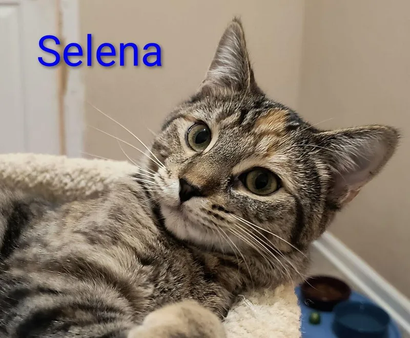 Selena thumbnail 4