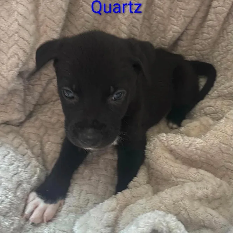Quartz thumbnail 2