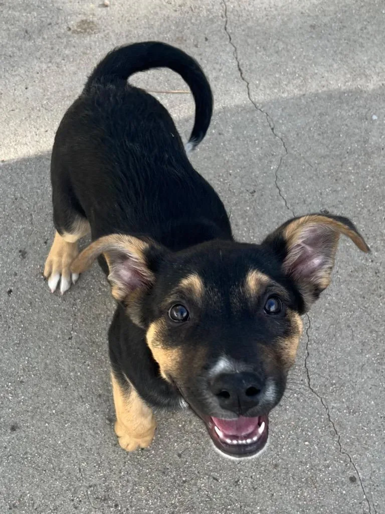 Chordeleg thumbnail 2